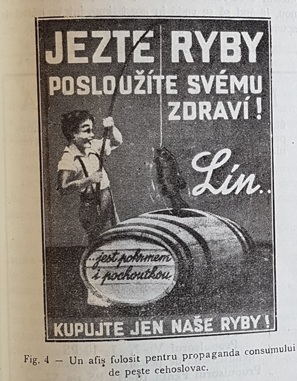 Nikdy není pozdě začít!